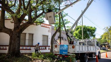 Profundizan operativos de despeje de luminarias