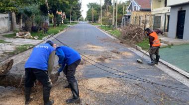 El Municipio trabaja para mitigar los daños de la tormenta