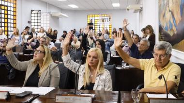 Aprueban la creación del Consejo Consultivo Honorario en Discapacidad