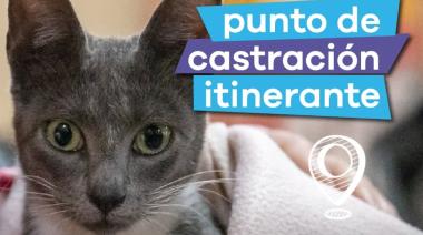 Punto de castración itinerante en Valentín Alsina
