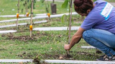 Operativo de forestación en el Parque Don Orione