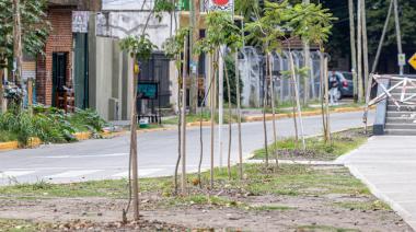 El Municipio forestó con más de mil plantas navitas