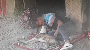 Detuvieron a un hombre acusado de drogar y abusar de sus perros en la calle