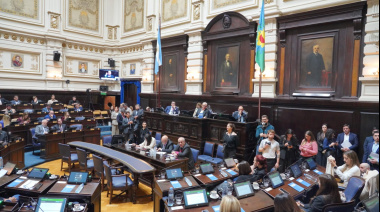 Diputados aprobó la Ley Joaquín y refrendó el decreto de comisiones