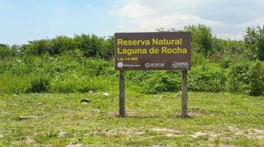 Alertan por un proyecto que podría afectar la protección de la reserva Laguna de Rocha