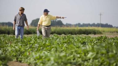 La Federación Agraria contra la desregulación: "Es necesaria la Ley de Arrendamiento"
