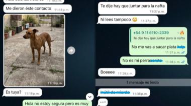 Perdió a su mascota por los festejos del Mundial y la quisieron estafar con IA