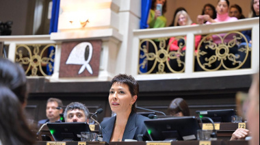 Diputados aprobó la Ley Ema