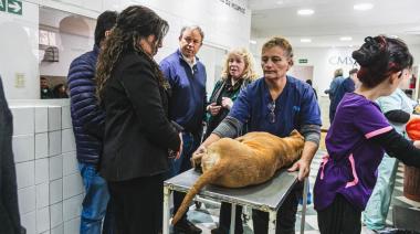 Cada vez más municipios toman como referencia y replican el modelo de Zoonosis Brown