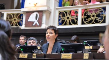 Diputados aprobó la Ley Ema