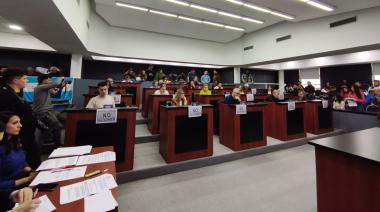 El HCD aprobó el RIGI local, declaró protegidos los bosques y debatió diversos proyectos