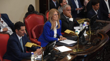 El Senado sesiona este martes para aprobar proyectos de salud y Ley Ema con modificaciones