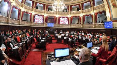 El Senado aprobó con modificaciones la Ley Ema y postergó el tratamiento de los expedientes de salud