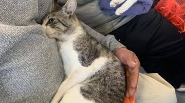 Denuncian un caso de mala praxis mortal en "la veterinaria de la Muerte"