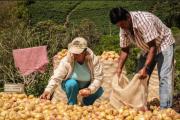 La Federación Agraria reclama políticas de protección