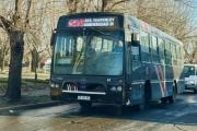 Por las elecciones, en Lomas el 7 de septiembre el viaje en colectivo será gratuito