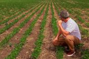Productores cuestionan que la quita de retenciones favorece a las grandes empresas