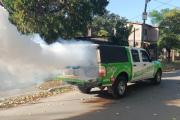 Operativos de fumigación para combatir el dengue