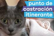 Punto de castración itinerante en Valentín Alsina