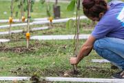 Operativo de forestación en el Parque Don Orione