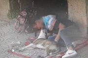 Detuvieron a un hombre acusado de drogar y abusar de sus perros en la calle