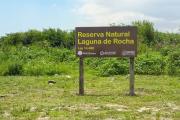 Alertan por un proyecto que podría afectar la protección de la reserva Laguna de Rocha