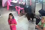"Es una burla": la familia de Merlín Díaz cuestionó que la gitana prófuga haya podido renovar su DNI