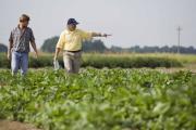 La Federación Agraria contra la desregulación: "Es necesaria la Ley de Arrendamiento"