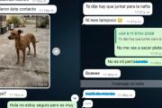 Perdió a su mascota por los festejos del Mundial y la quisieron estafar con IA