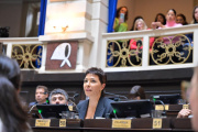 Diputados aprobó la Ley Ema