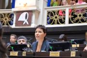 Diputados aprobó la Ley Ema