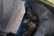 Un nene de 12 años fue armado a la escuela