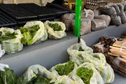 “Carro Almacén Don Nino”: la Facultad de Ciencias Agrarias ofrece sus productos a la comunidad