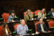 El cristinismo quiere reactivar la agenda con el foco puesto en la reforma electoral y política