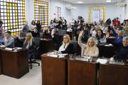 El Consejo aprobó por unanimidad la emergencia sanitaria climática e hídrica en Lanús