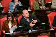 El Senado aprobó proyectos impulsados por Fuerza Patria