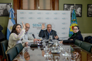 Avanzan los proyectos de industria farmacéutica y sistema integrado de salud en el Senado provincial