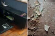 “Nadie lo para”: teme por sus hijos porque su ex la acosa y la amenaza, pese a la perimetral
