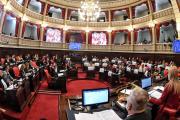 El Senado aprobó con modificaciones la Ley Ema y postergó el tratamiento de los expedientes de salud