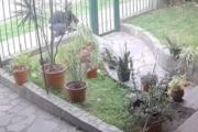 Encontraron a "Capitán", el gato robado en el frente de su casa
