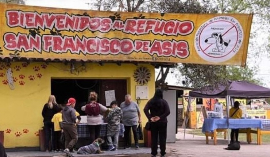 El refugio San Francisco de Asís realizará un bingo solidario - Política  del Sur